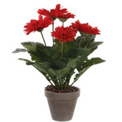 Planta Artificial - Gerbera Roja - MICA